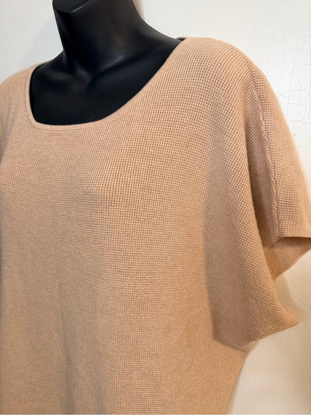 Cyrus Beige Knit Short-Sleeve Blouse - Picture 3 of 7